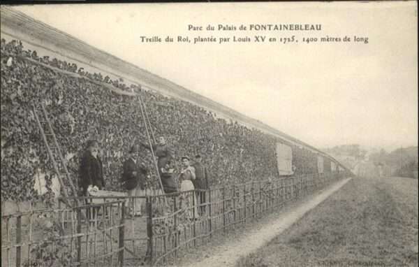 Fontainebleau Parc Palais
