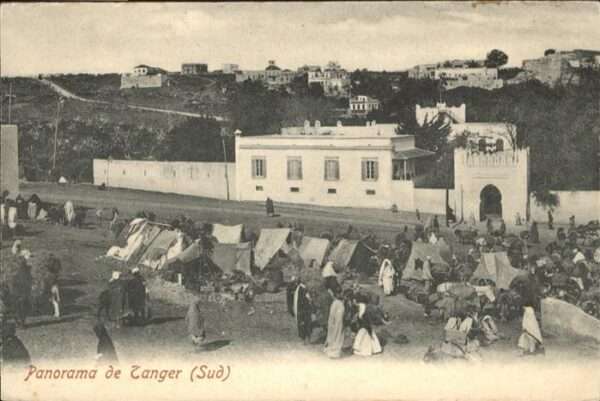 Tanger Tangier Tangiers Pferd