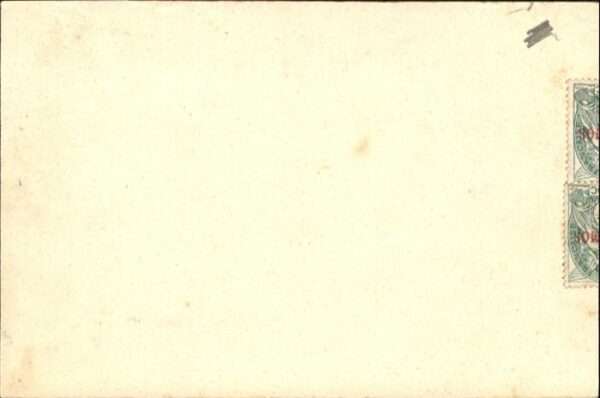Tanger Tangier Tangiers Pferd – Bild 2