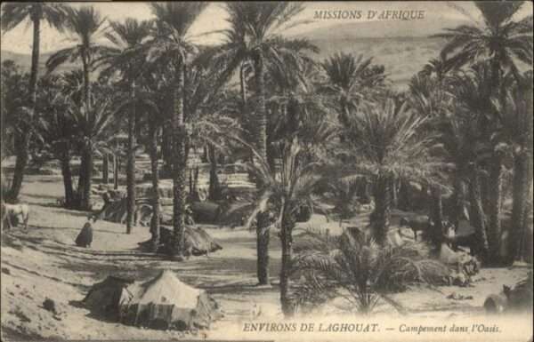 Laghouat Campement dans Oasis