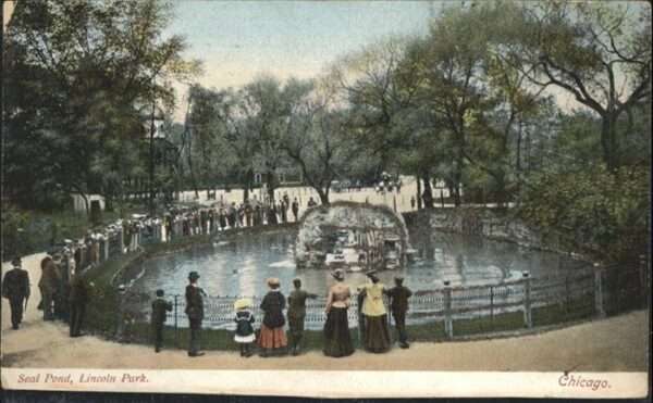 Chicago Heights Seat Pond Lincoln Park