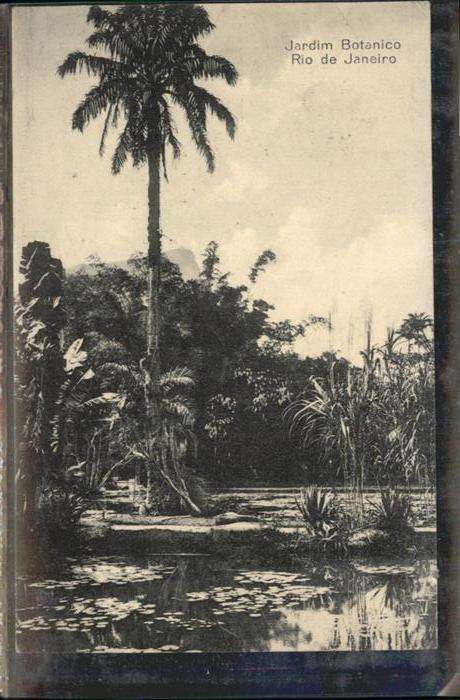 Rio de Janeiro Jardim Botanico