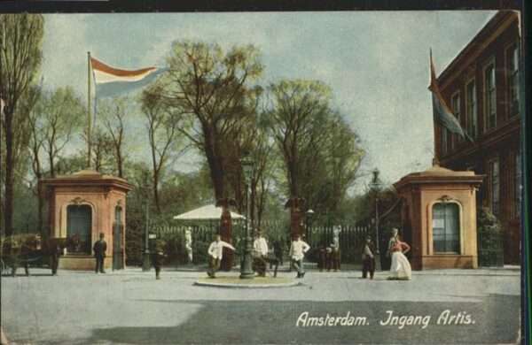 Amsterdam Niederlande Ingang Artis Pferd