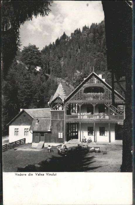 Valea Vinului