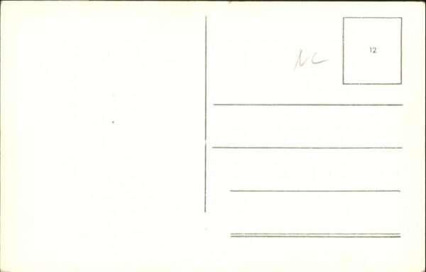 Zutphen Schapenpleintje – Bild 2