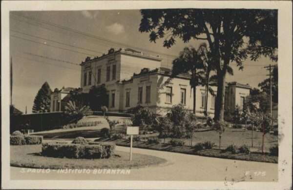 San Paulo Instituto Butantan