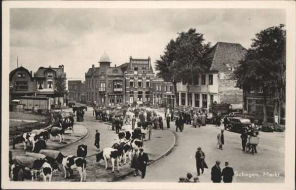 Schagen Niederlande Markt Kühe Pferde