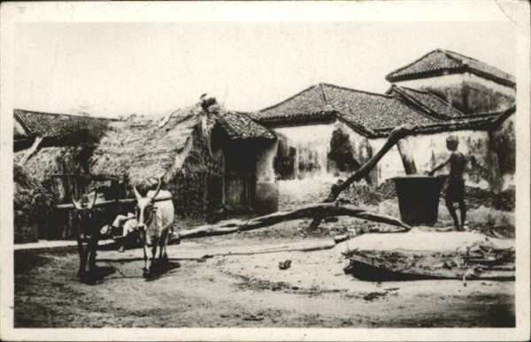 Cambodge Moulin a Huile