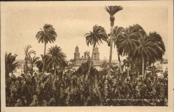 Las Palmas Gran Canaria Catedral