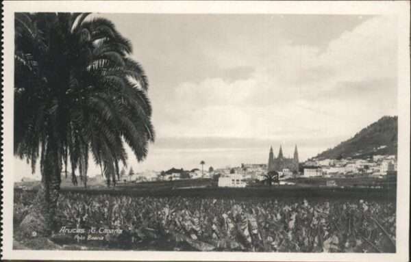 Gran Canaria Arucas