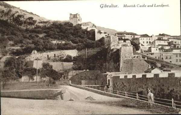 Gibraltar Moorish Castle Landport Esel