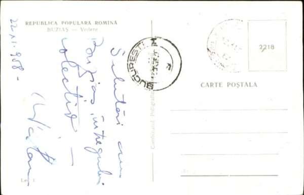 Buzias buzias – Bild 2