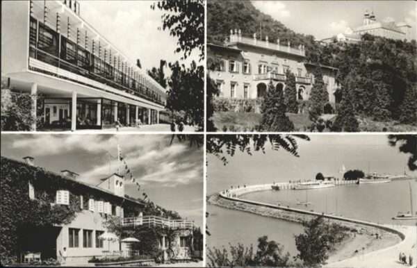 Tihany Schiff