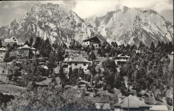 Busteni