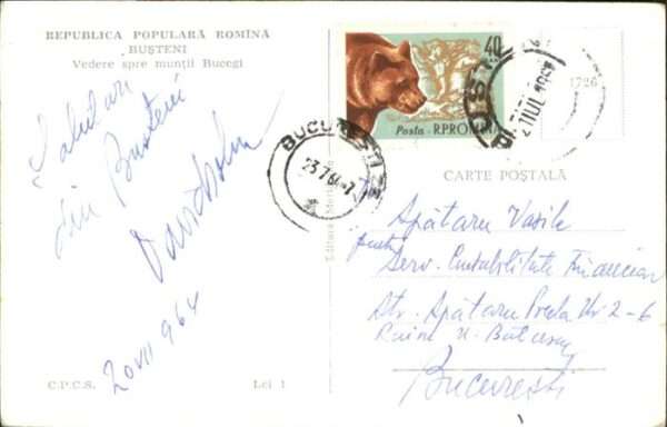 Busteni – Bild 2