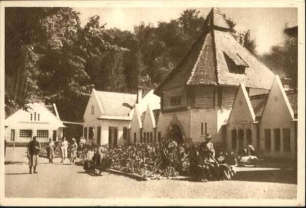 Vata de Jos