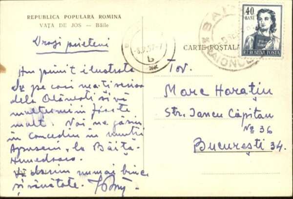 Vata de Jos – Bild 2