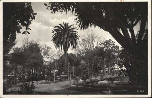 Funchal Public Garden