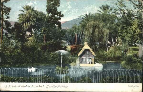 Funchal Jardin Publico Schwan