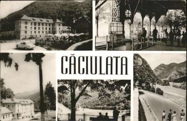 Caciulata