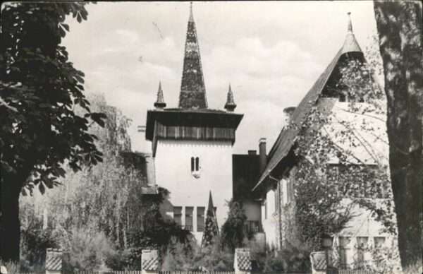 Salonta