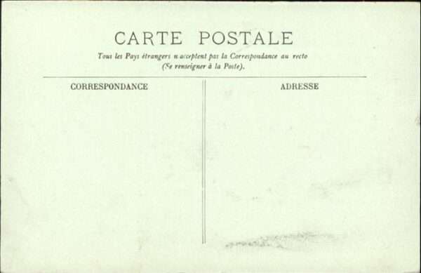 Joyeuse Vogel – Bild 2