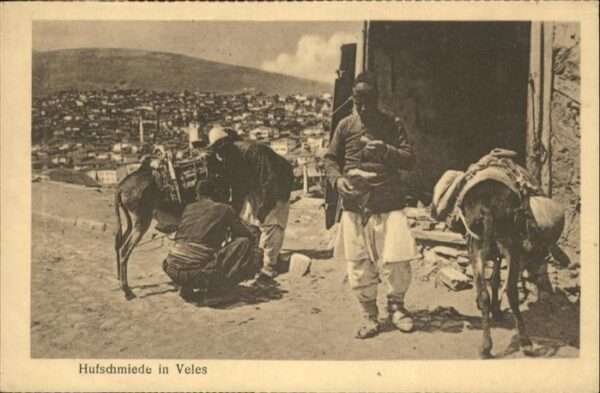 Veles Hufschmied Esel