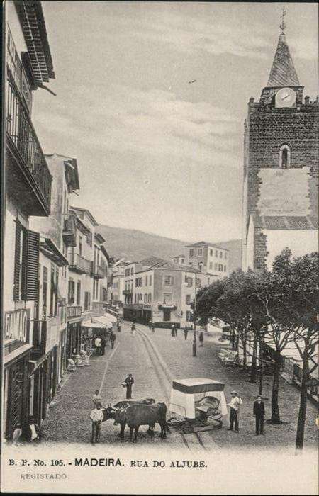 Madeira Portugal Rua do Aljube Ochse
