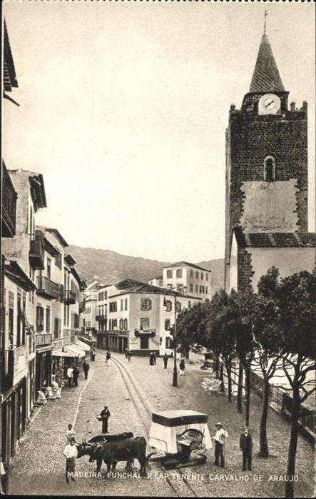 Madeira Portugal Ochse