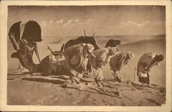 Kamel  Camel Chameau Araber Gebet Beten Wüste