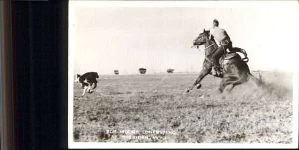 Reitsport Pferdesport Pferderennen Bob Moore Contesting Sheridan