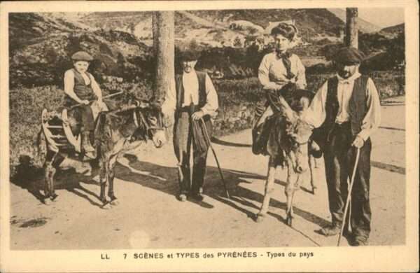 Typen Types des Pyrenees Esel