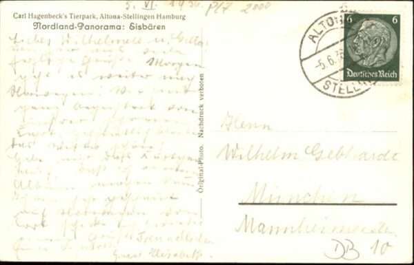 Baeren Carl Hagenbecks Tierpark Altona-Stellin – Bild 2