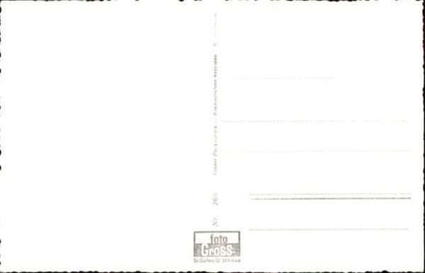 Trachten Appenzellerin – Bild 2