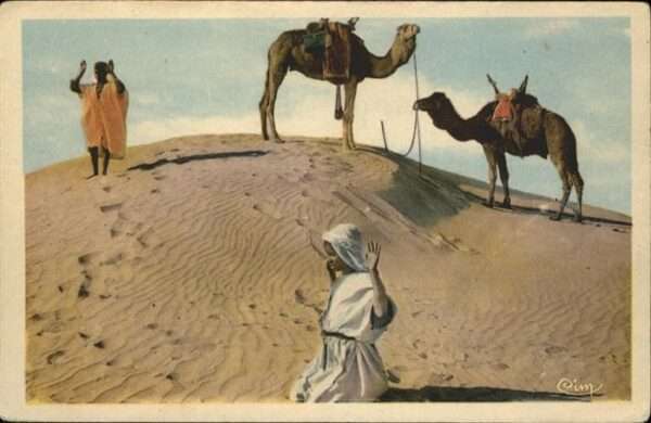 Kamel  Camel Chameau Wüste Gebet Beten