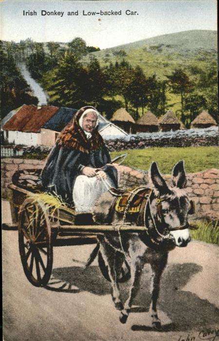 Esel Tiere Irish Donkey Low-backed Car