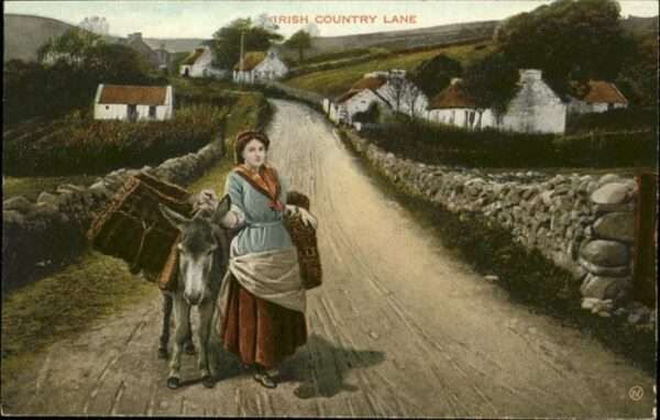 Esel Tiere Irish Country Lane Tracht Frau