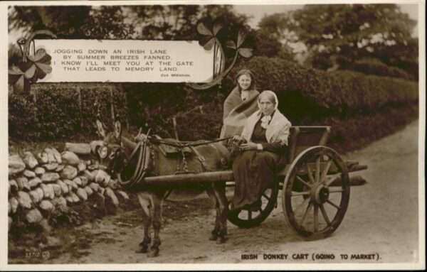 Esel Tiere Irish Donkey Cart Tracht Eselwagen