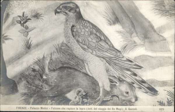 Voegel Firenze Jagd