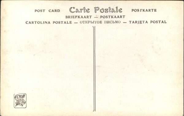 Pferde – Bild 2