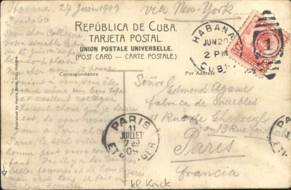 Pferde Cuban Volanta Wagen – Bild 2