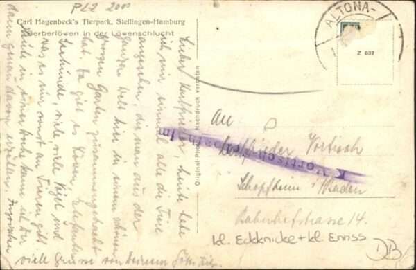 Loewe Carl Hagenbeck Tierpark Stellingen-Hamb – Bild 2
