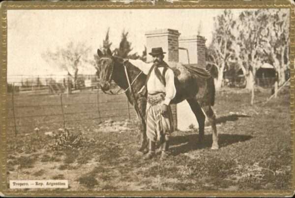 Pferde Tropero Argentina