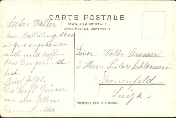 Pferde Tropero Argentina – Bild 2