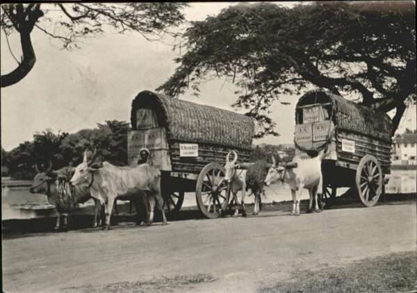 Tiere Wagen E. Kern & Co. Colombo