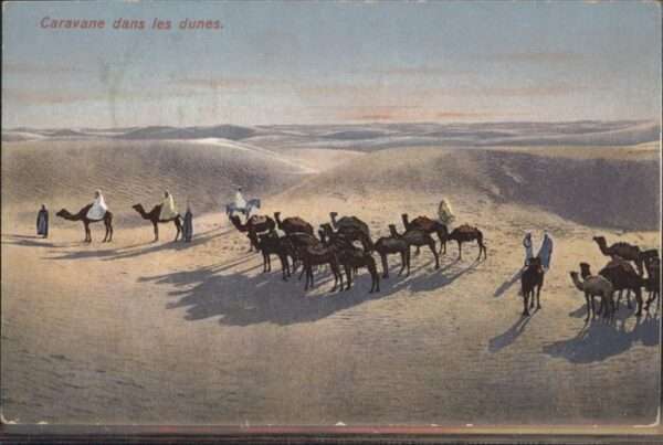 Kamel  Camel Chameau Wüste Afrika