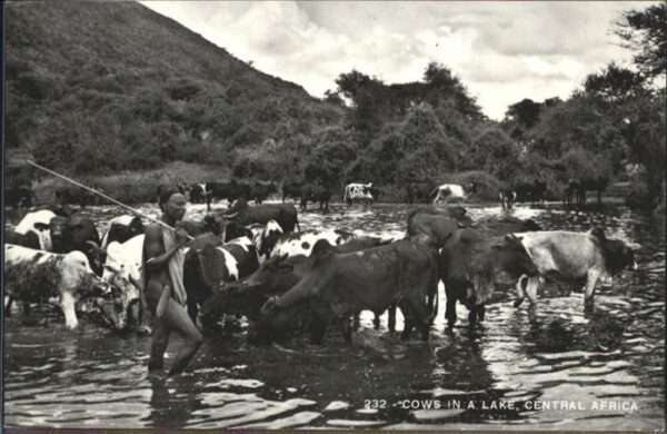 Kuehe Central-Africa