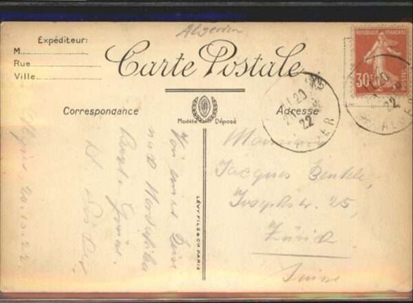 Kamel  Camel Chameau Algerien – Bild 2
