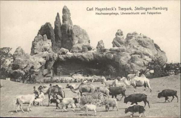Tiere Carl Hagenbeck Tierpark Stellingen-Hamb