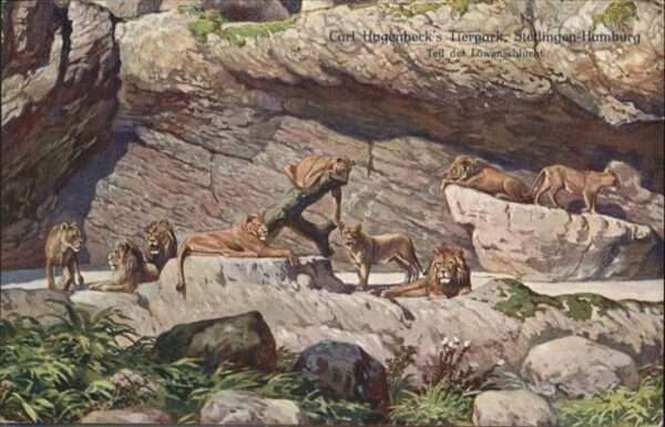Loewe Carl Hagenbeck Tierpark Stellingen-Hamb
